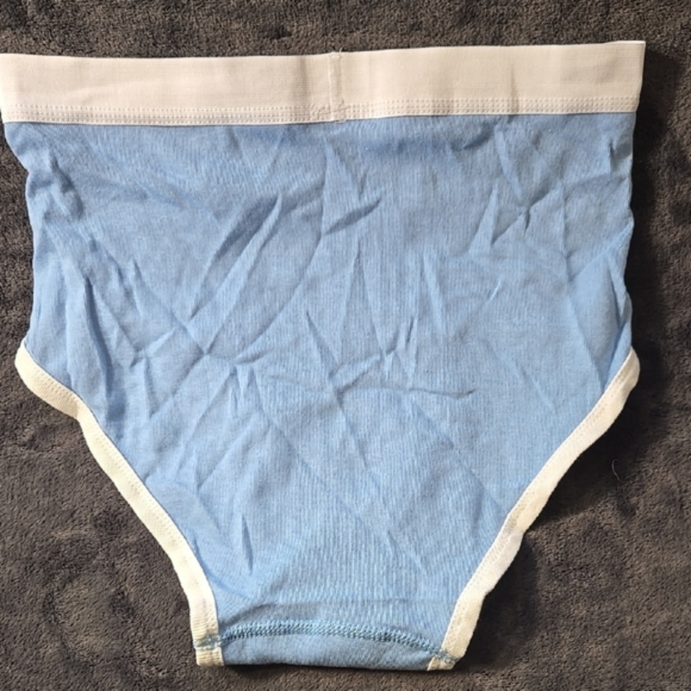 American Apparel Blue and White Briefs - Picture 3 of 3